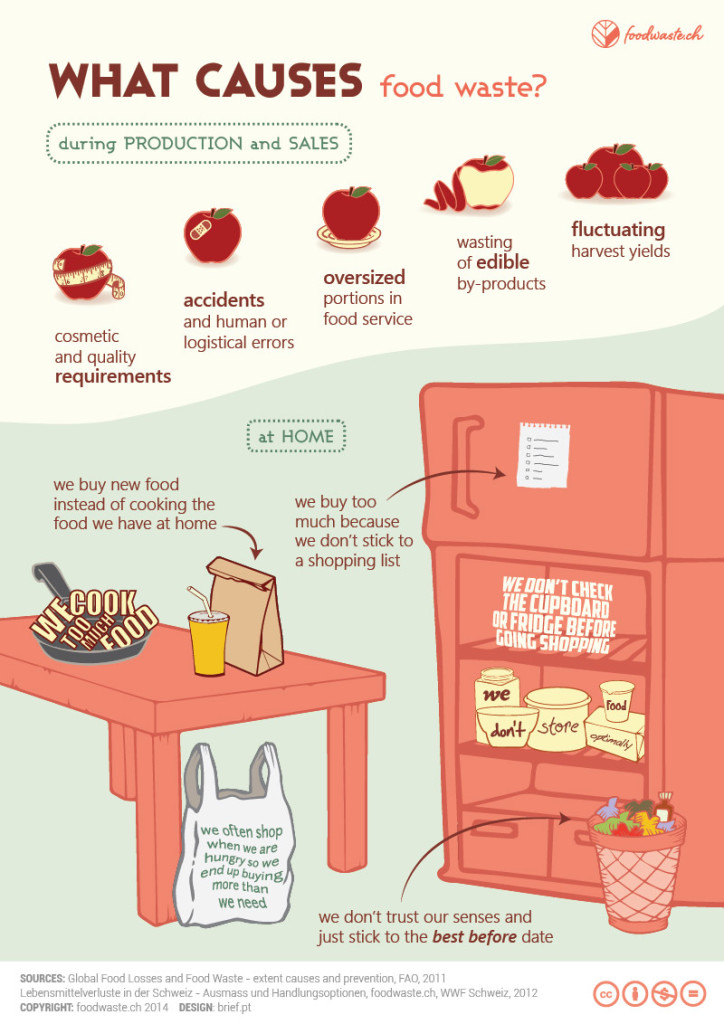 What Is The Causes Of Food Waste