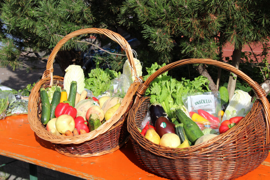 Zwischenstandsbericht zu Food Waste in der Schweiz veröffentlicht