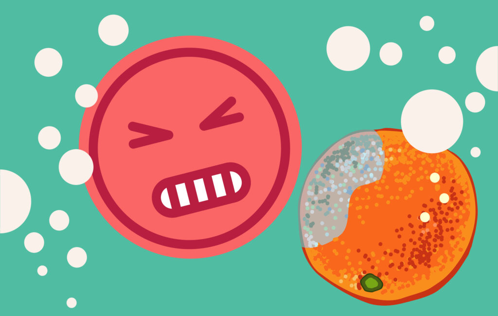 Ekel, Mythen und wahre Gefahren